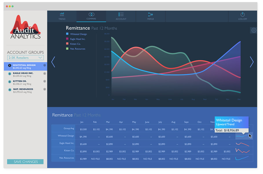 Audit Analytics application page