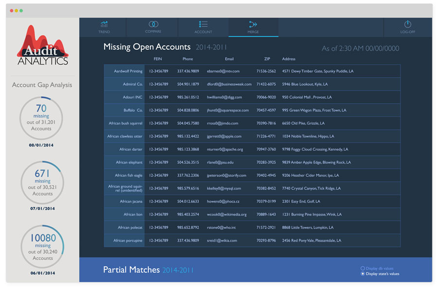 Audit Analytics application page